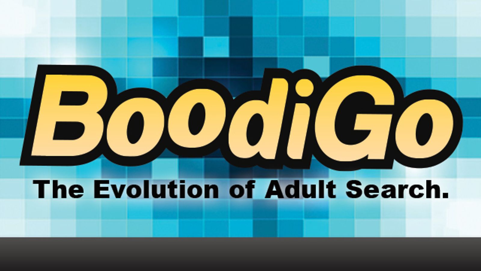 Boodigo.com: The Ultimate Private Search Engine for Adult Content