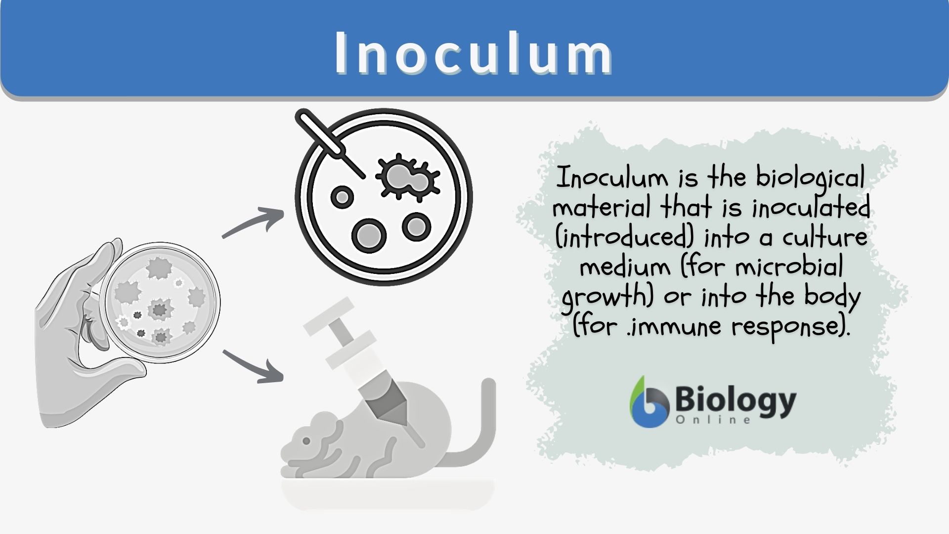 What Does Inoculate Mean? A Complete Definition and Usage Guide