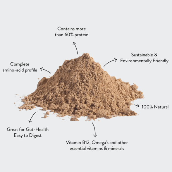 Best Cricket Powder: A Simple Guide for Beginners