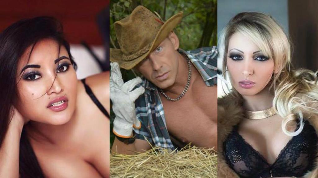 The Rise of 2015 Pornstars:  A Look at Their Careers