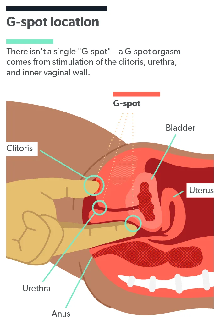 Where Should I Cum? Finding the Right Spot with Partner