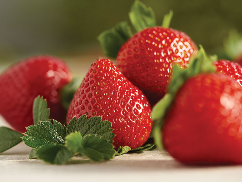 What are milfberries? Here are the amazing facts about this unique fruit!