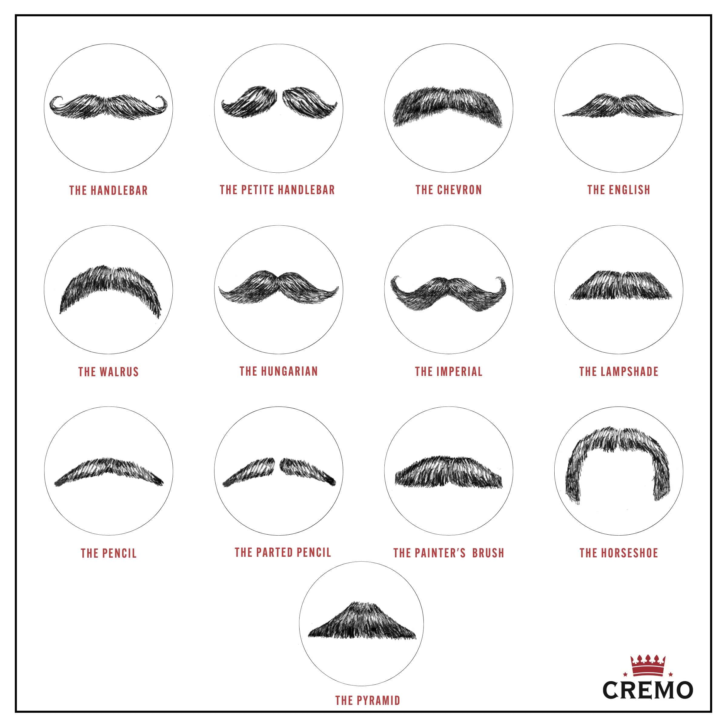 Mustache Pencils: How to Choose the Right One for You? Check Out Our Guide to the Different Types, Styles, and Uses Available on the Market!