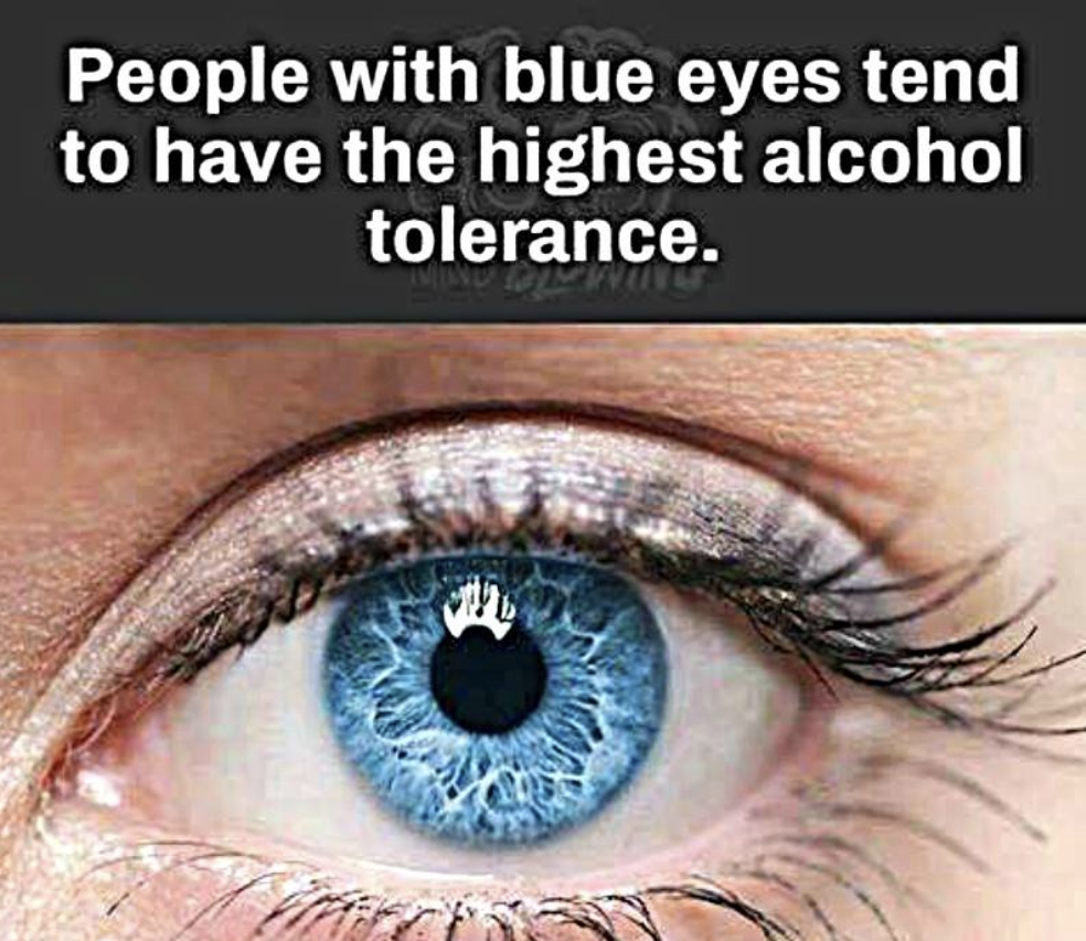 The Truth About Blue Eyes Alcohol: Separating Fact From Fiction